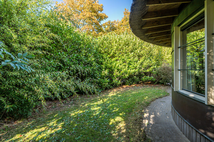 Foto 56 van Benjamin Steegengastrjitte 10