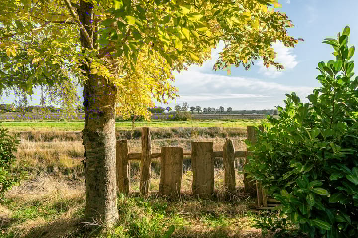 Foto 62 van Benjamin Steegengastrjitte 10