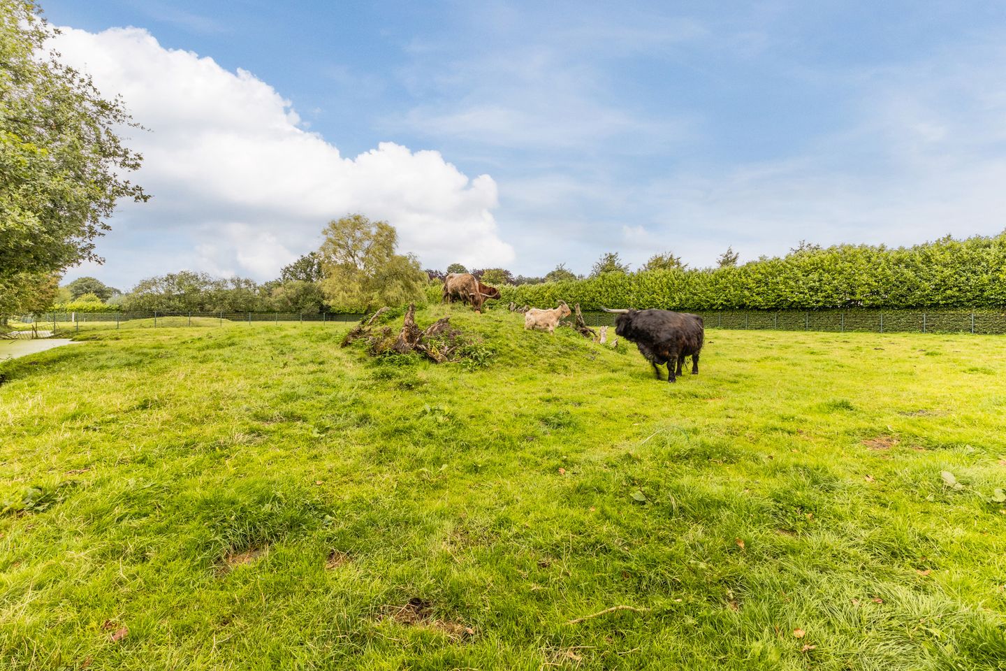 Foto 74 van Houtsestraat 16