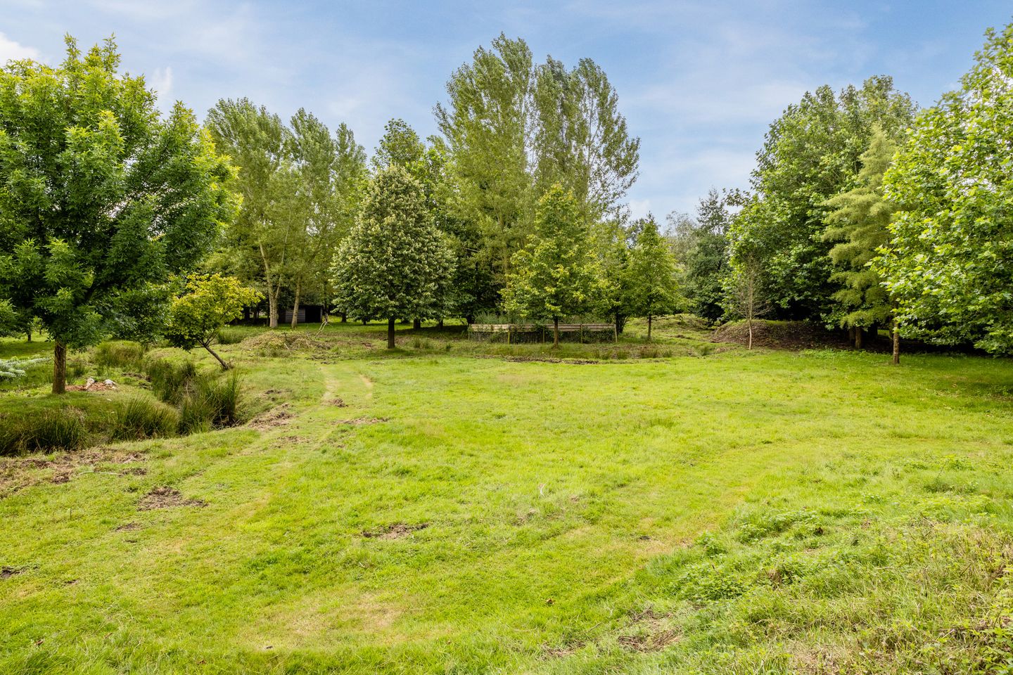 Foto 79 van Houtsestraat 16