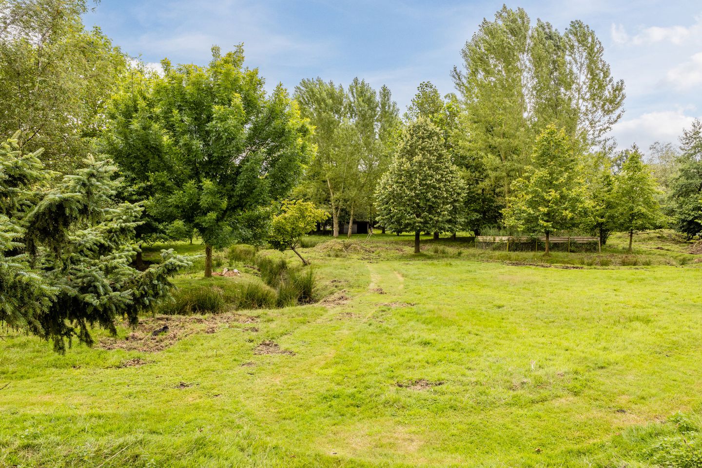 Foto 80 van Houtsestraat 16