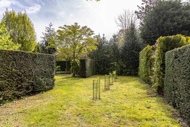 Foto 49 van Egelantierlaan 11