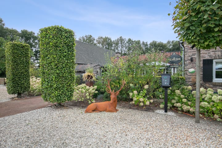 Photo 9 of Zandvliet 25