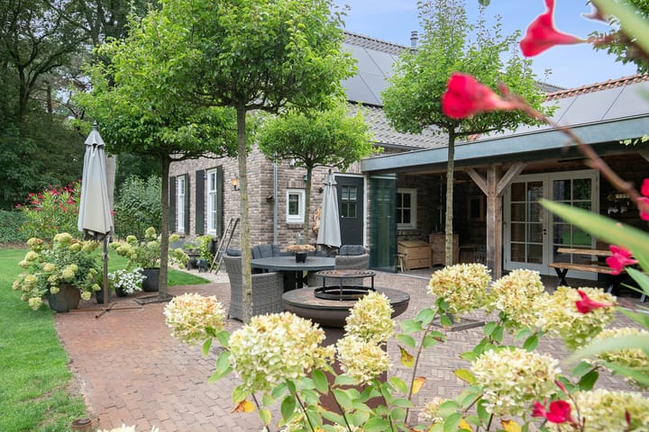 Photo 54 of Zandvliet 25