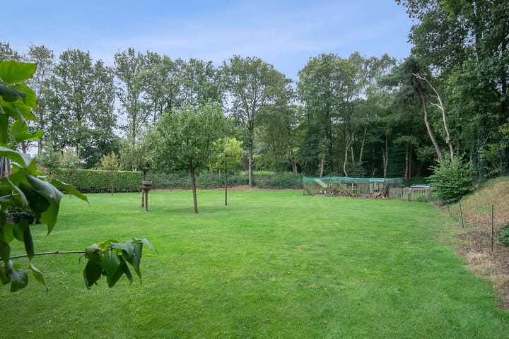 Photo 58 of Zandvliet 25