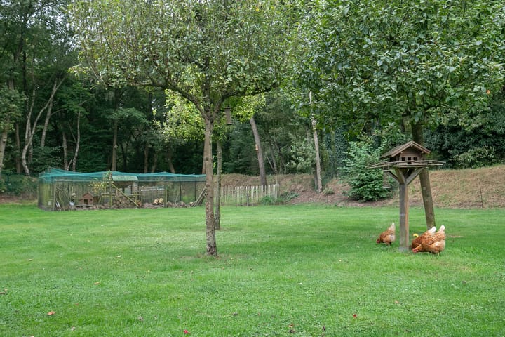 Photo 59 of Zandvliet 25