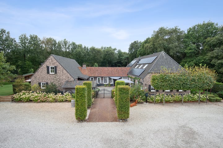 Photo 75 of Zandvliet 25