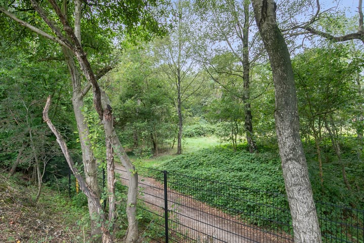 Photo 79 of Zandvliet 25