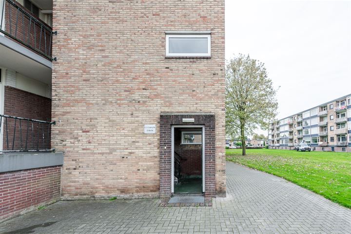 Bekijk foto 3 van Wolframstraat 56