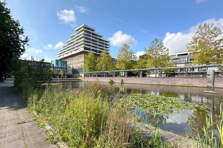 Foto 30 van Stadstuinen 105