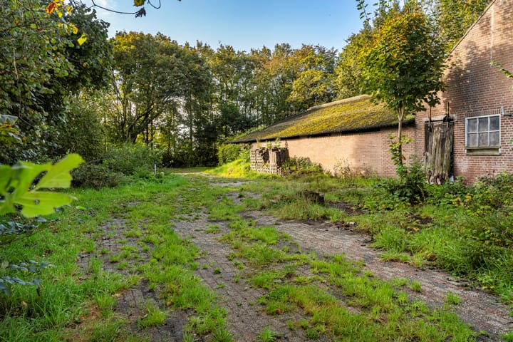 Foto 33 van Zwarte Dijk 47