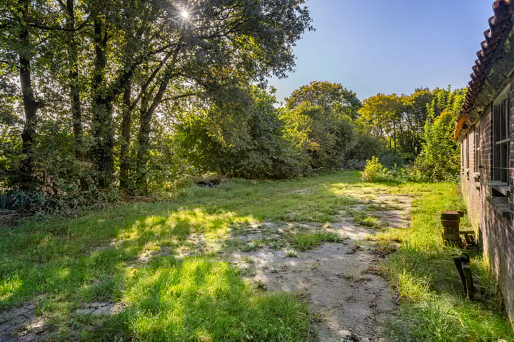 Foto 35 van Zwarte Dijk 47