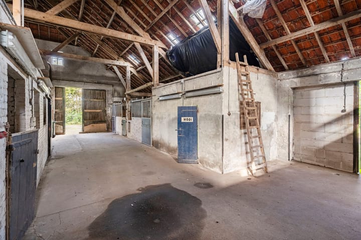 Foto 37 van Zwarte Dijk 47