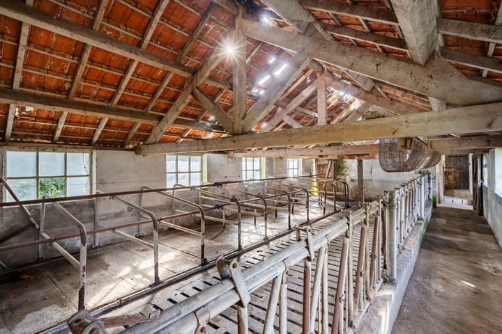 Foto 39 van Zwarte Dijk 47