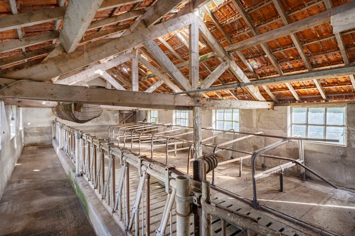 Foto 40 van Zwarte Dijk 47