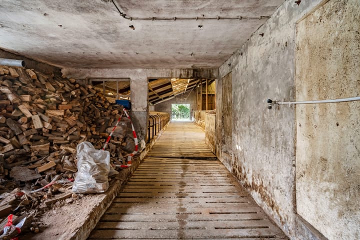 Foto 42 van Zwarte Dijk 47