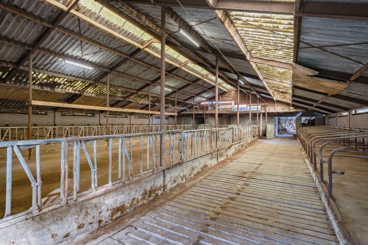 Foto 46 van Zwarte Dijk 47