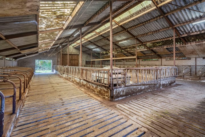 Foto 47 van Zwarte Dijk 47