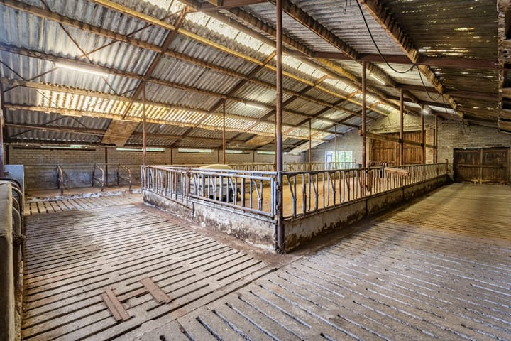 Foto 48 van Zwarte Dijk 47