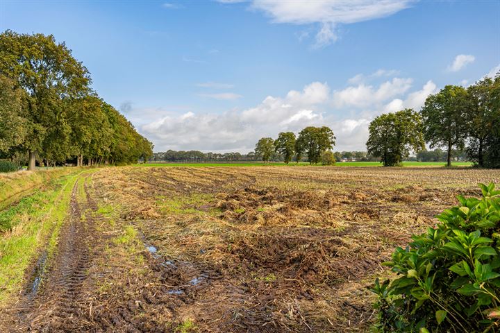 Bekijk foto 56 van Zwarte Dijk 47