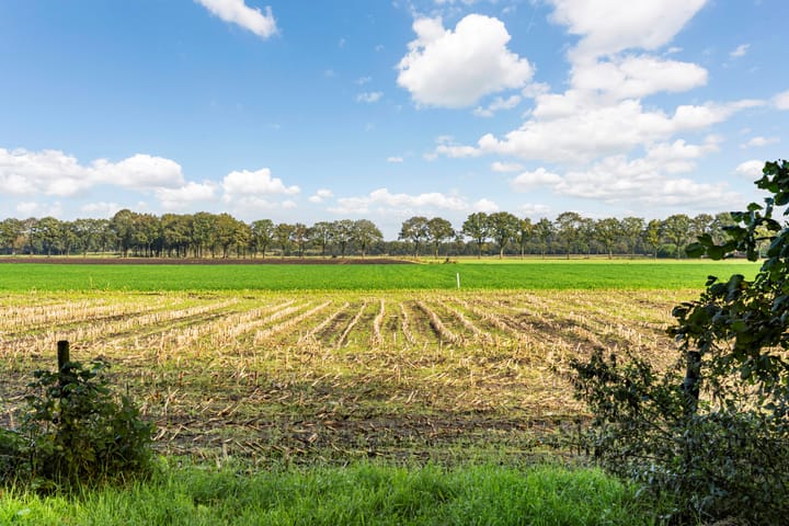 Foto 58 van Zwarte Dijk 47