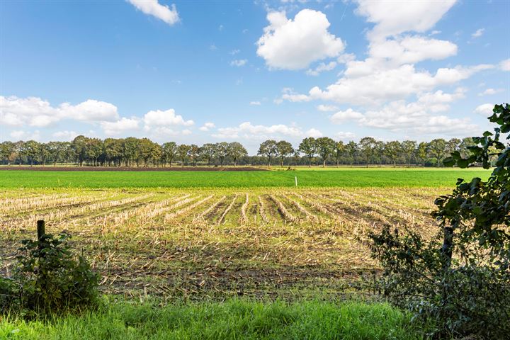 Bekijk foto 58 van Zwarte Dijk 47