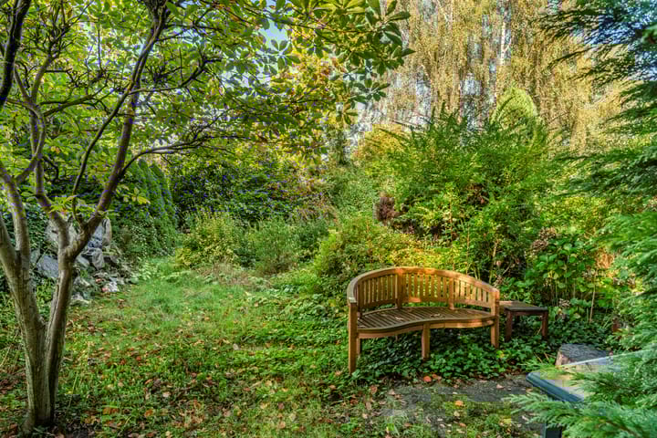 Foto 64 van Zwarte Dijk 47