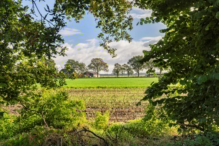 Foto 67 van Zwarte Dijk 47