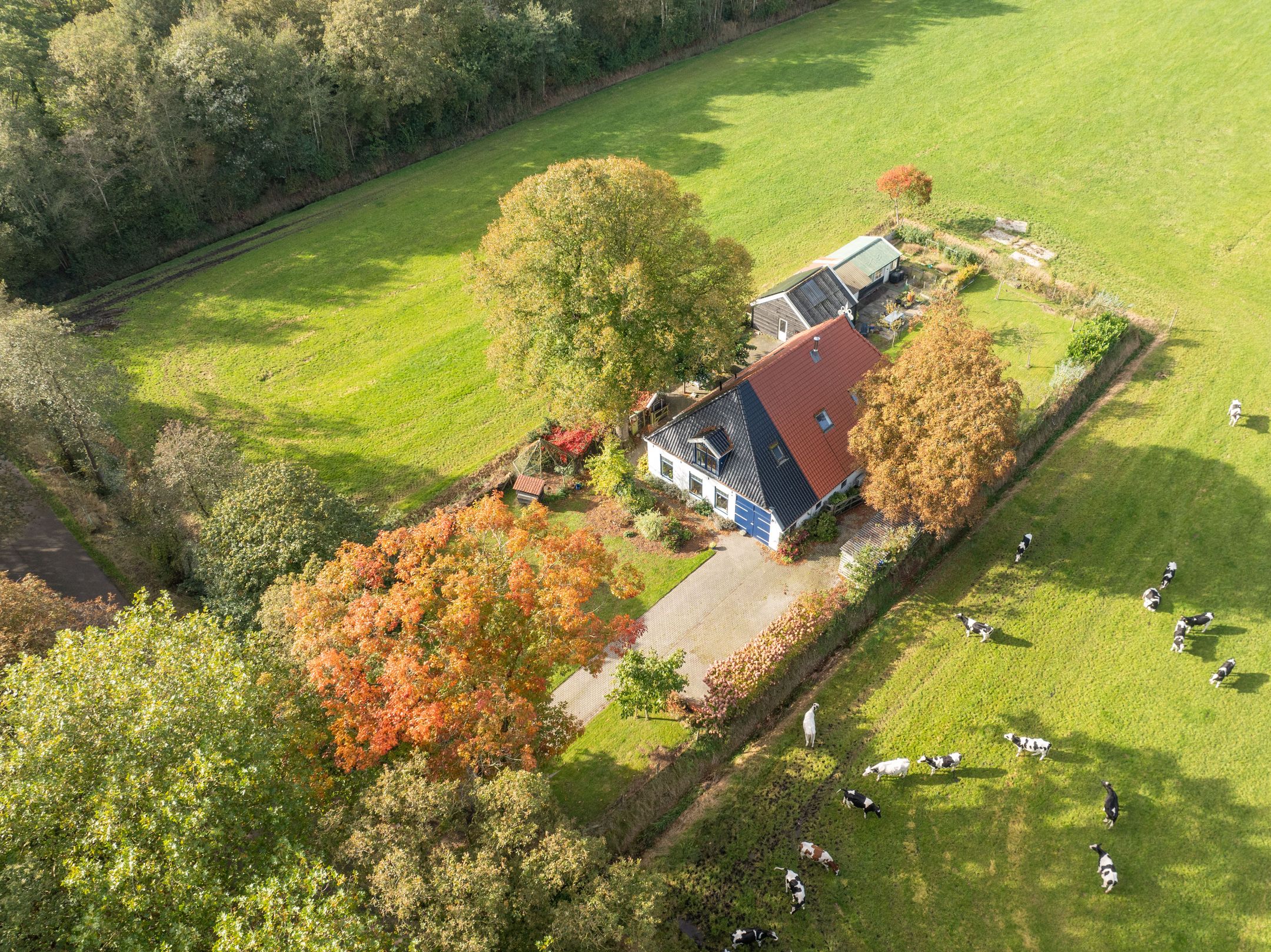 Foto 3 van Hoofdweg 305