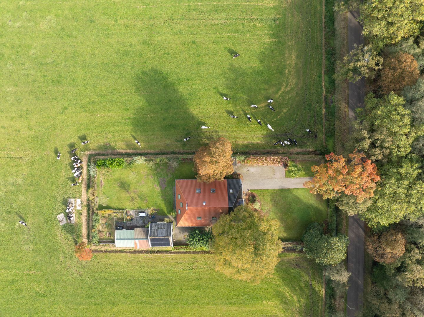 Foto 4 van Hoofdweg 305