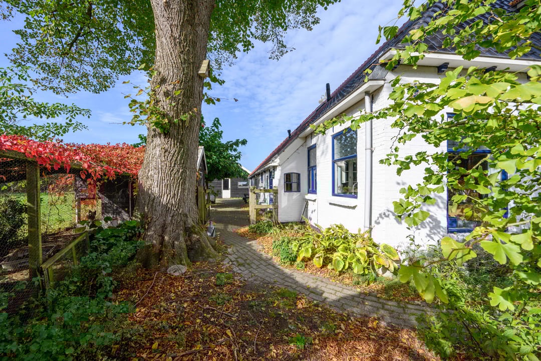 Foto 37 van Hoofdweg 305