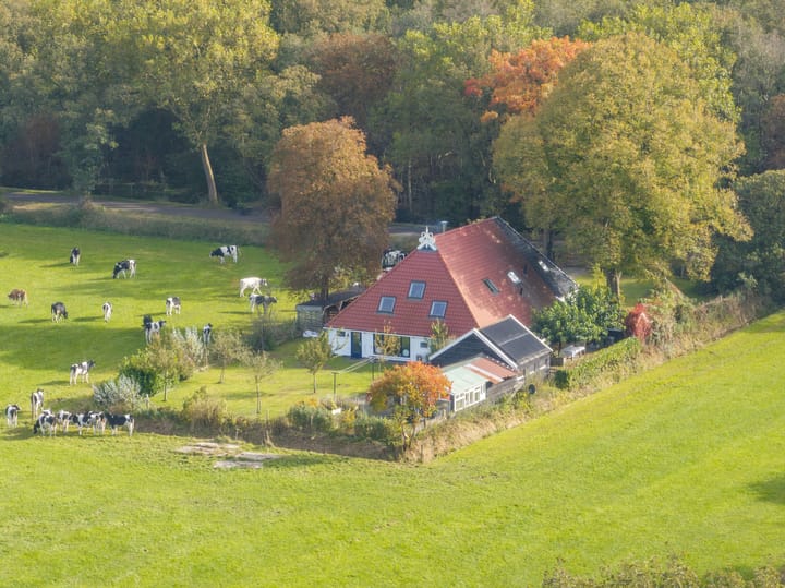 Photo 40 of Hoofdweg 305