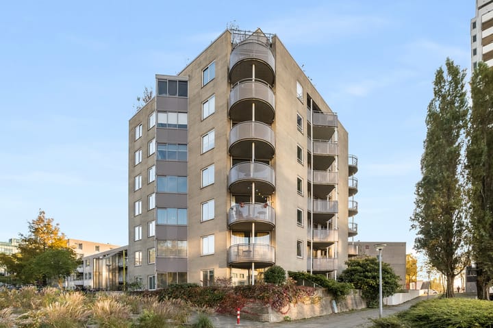 Foto 12 van Borneolaan 280