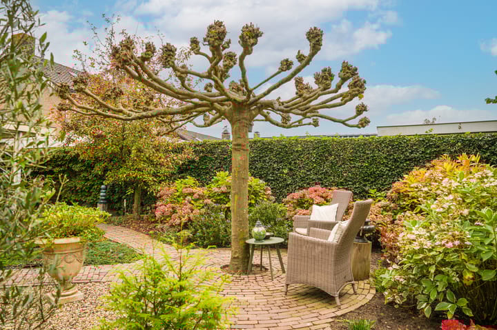 Foto 32 van Pastoor Heurkensstraat 10