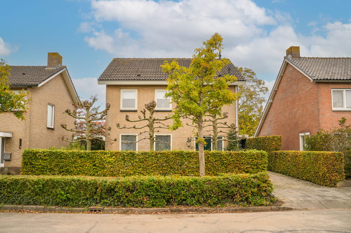 Foto 40 van Pastoor Heurkensstraat 10