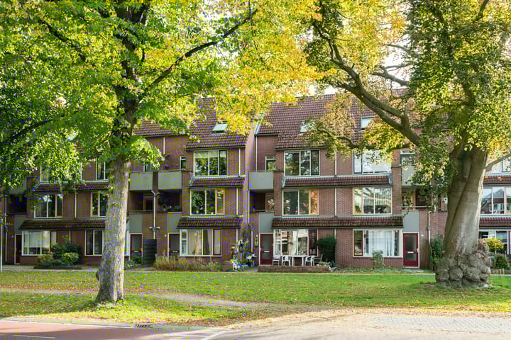 Foto 4 van Driessenshof 41