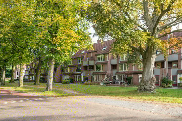 Foto 5 van Driessenshof 41