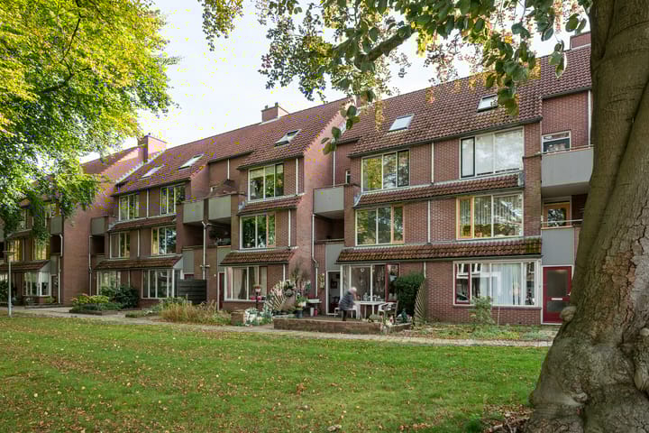 Foto 6 van Driessenshof 41