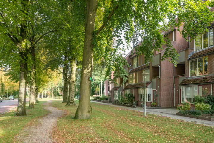 Foto 8 van Driessenshof 41