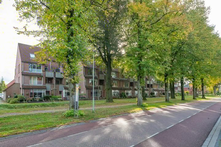 Foto 10 van Driessenshof 41