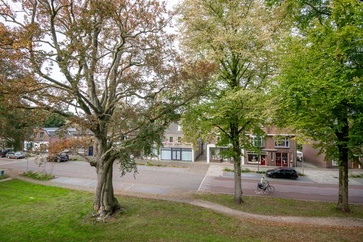 Foto 22 van Driessenshof 41