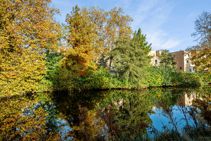 Foto 73 van Bachkade 5