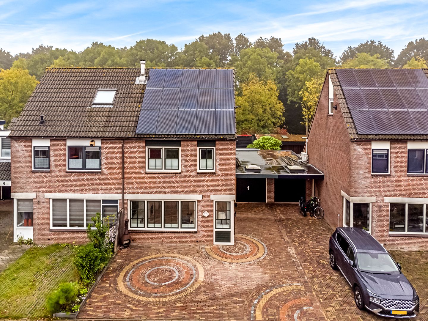 Foto 1 van Plevier 7