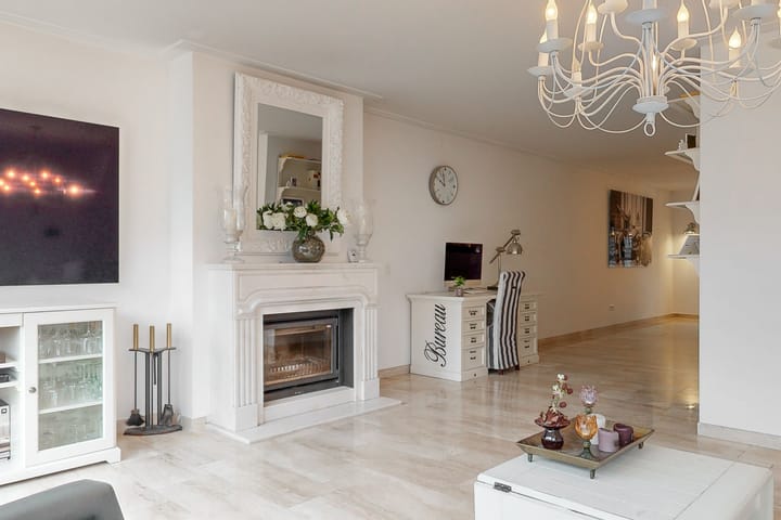 Foto 7 van Plevier 7