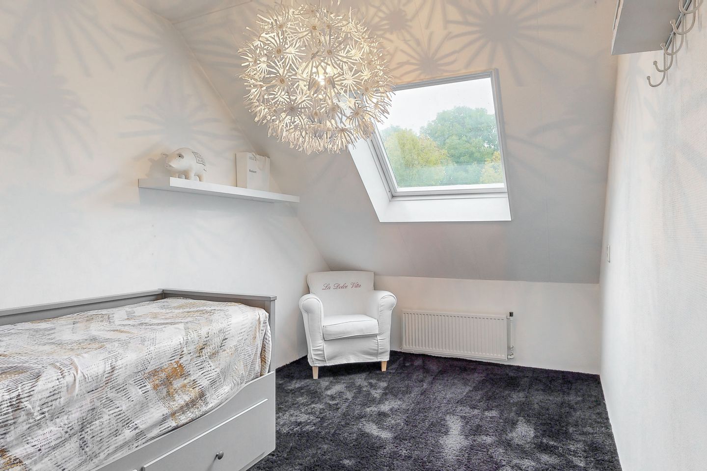 Foto 19 van Plevier 7