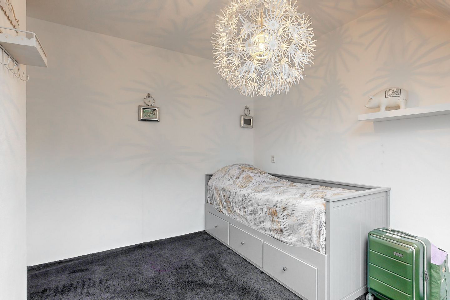 Foto 20 van Plevier 7