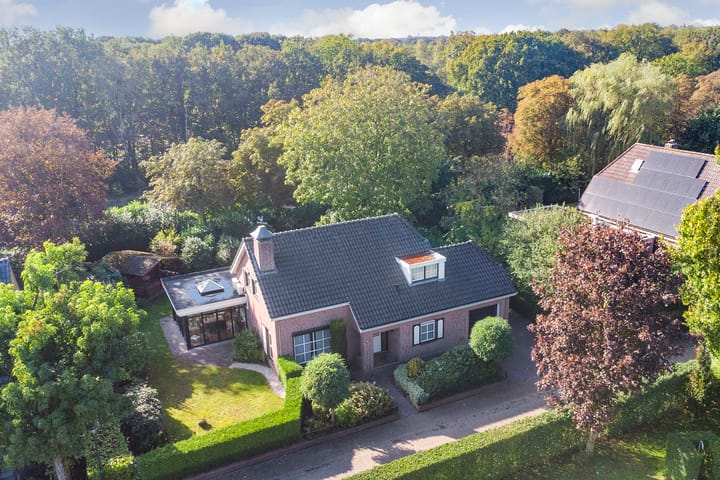 Foto 1 van de Mahonie 10