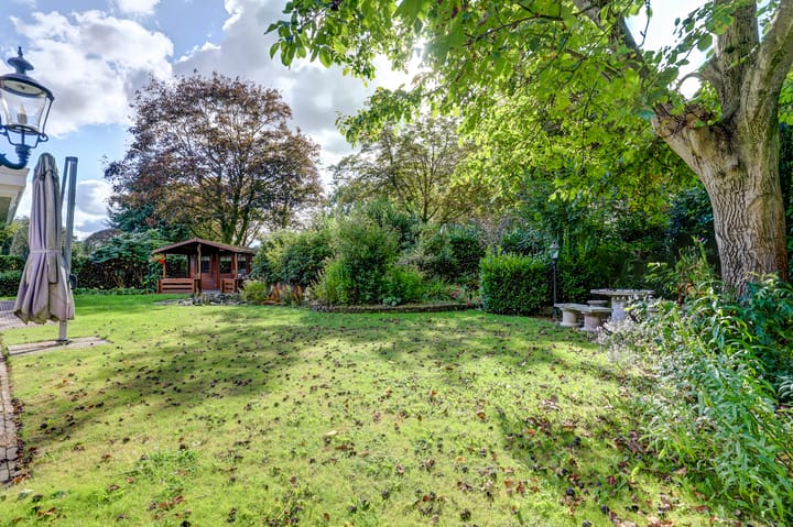 Foto 2 van de Mahonie 10