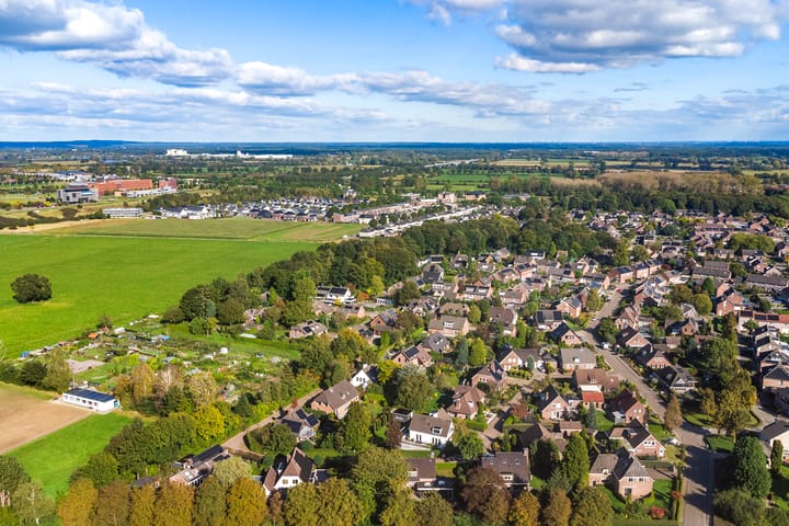 Foto 5 van de Mahonie 10