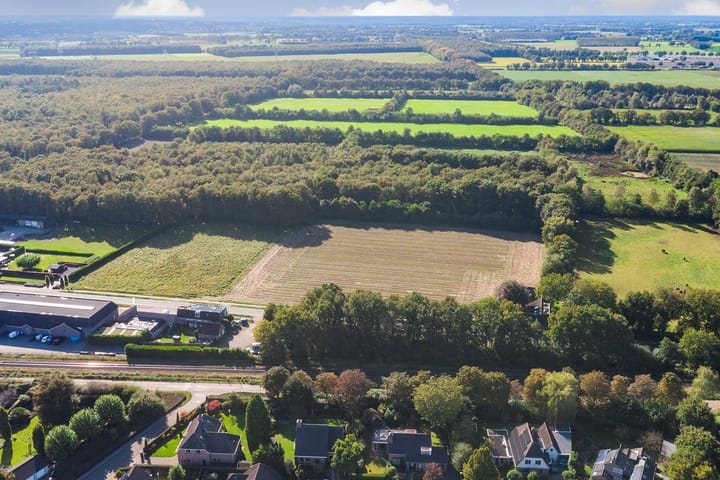 Foto 6 van de Mahonie 10